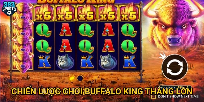 Chiến lược chơi Buffalo King thắng lớn